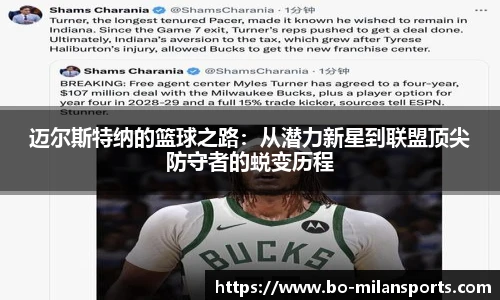 米兰体育官方网站入口